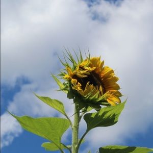 Meet your Posher, Gloria